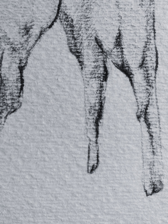 Intestines II