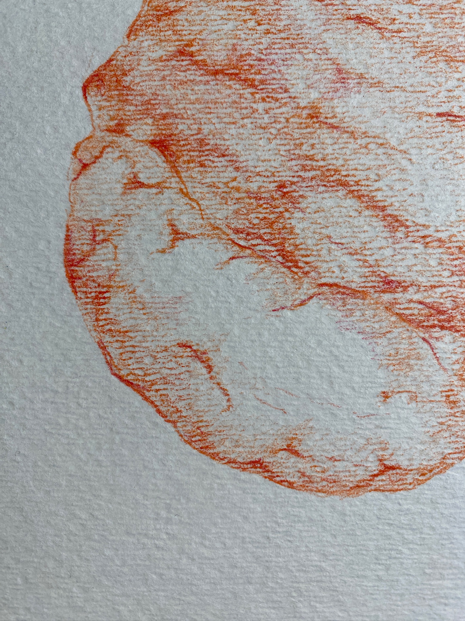 Intestines